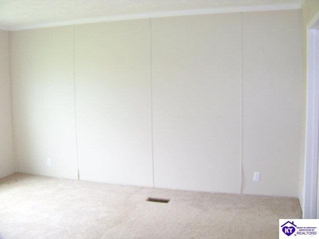 Listing Picture 265 Spurlington Church Road Campbellsville, KY 42718 MLS HK10000606