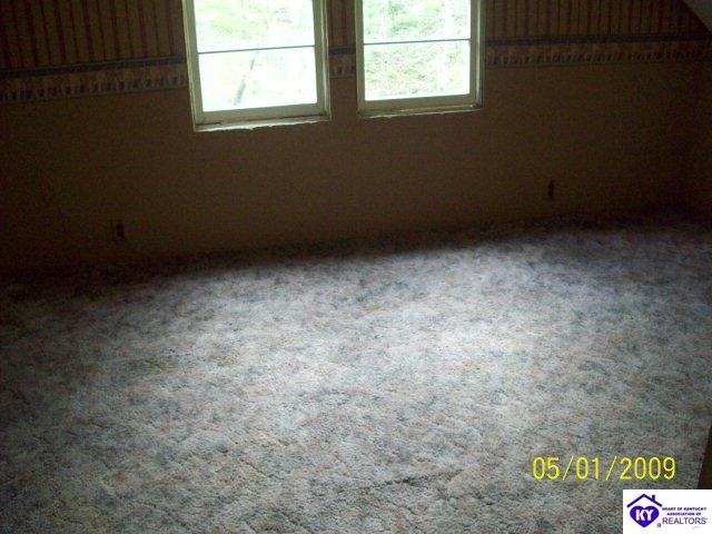 Listing Picture 100 Holly Branch Run Road Magnolia, KY 42757 MLS HK10000675
