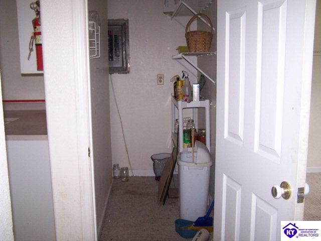 Listing Picture 4810 Caneyville Road Caneyville, KY 42721 MLS HK10000738