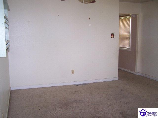 Listing Picture 4810 Caneyville Road Caneyville, KY 42721 MLS HK10000738