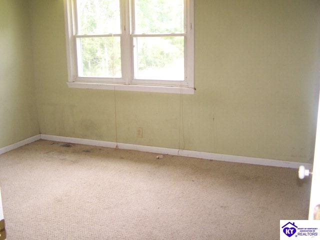 Listing Picture 4810 Caneyville Road Caneyville, KY 42721 MLS HK10000738