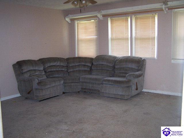 Listing Picture 4810 Caneyville Road Caneyville, KY 42721 MLS HK10000738