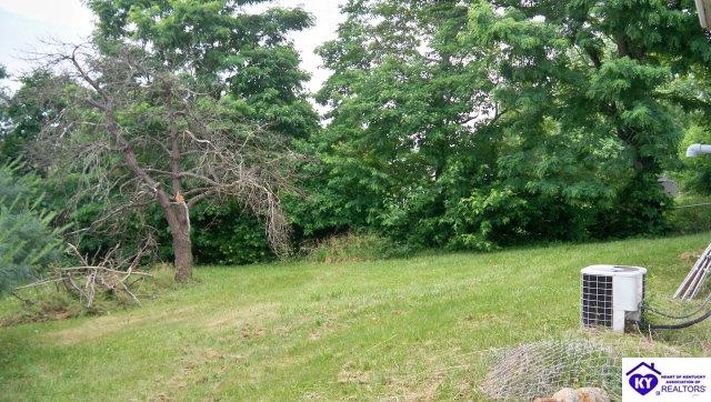 Listing Picture 189 Manley Avenue Vine Grove, KY 40175 MLS HK10000944