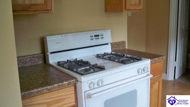 Listing Picture 189 Manley Avenue Vine Grove, KY 40175 MLS HK10000944