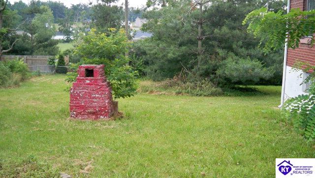 Listing Picture 189 Manley Avenue Vine Grove, KY 40175 MLS HK10000944