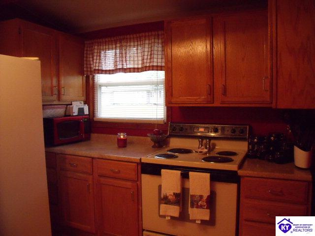 Listing Picture 309 Glennwood Drive Vine Grove, KY 40175 MLS HK10001034