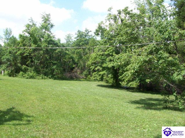 Listing Picture 12440 Rineyville Big Springs Road Rineyville, KY 40162 MLS HK10001089