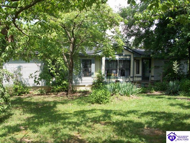 Listing Picture 12440 Rineyville Big Springs Road Rineyville, KY 40162 MLS HK10001089