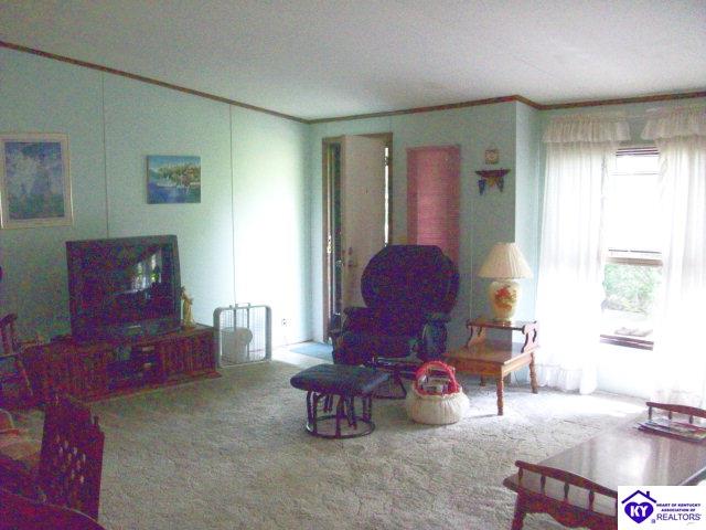 Listing Picture 12440 Rineyville Big Springs Road Rineyville, KY 40162 MLS HK10001089