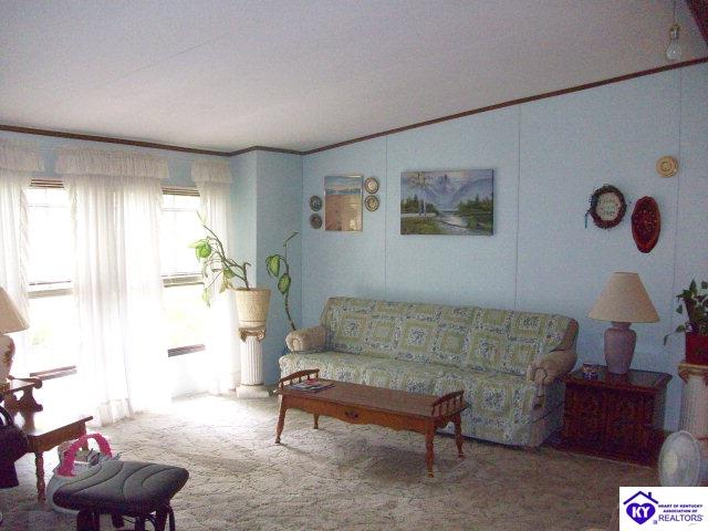 Listing Picture 12440 Rineyville Big Springs Road Rineyville, KY 40162 MLS HK10001089