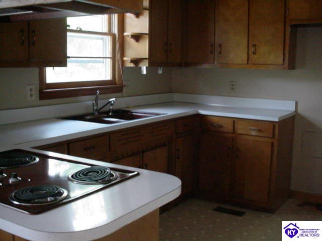 Listing Picture 4897 Mt Sherman Road Magnolia, KY 42757 MLS HK10001138