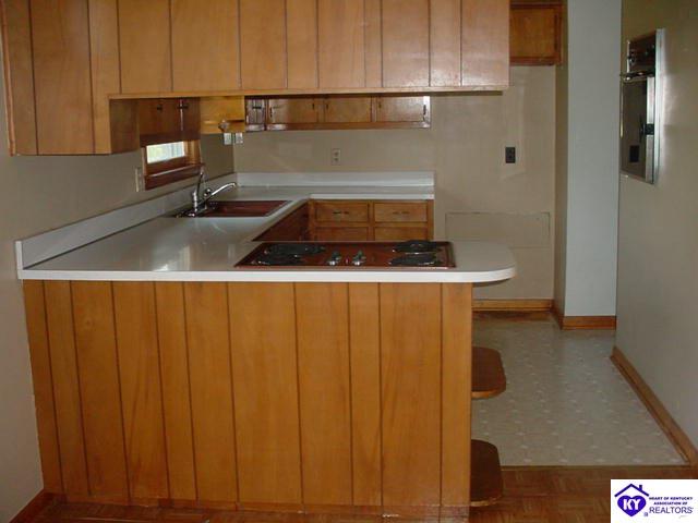 Listing Picture 4897 Mt Sherman Road Magnolia, KY 42757 MLS HK10001138