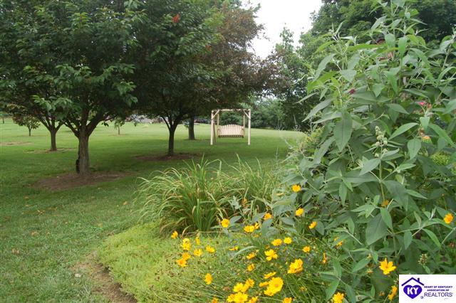 Listing Picture 34 Wildwood Drive Campbellsville, KY 42718 MLS HK10001099