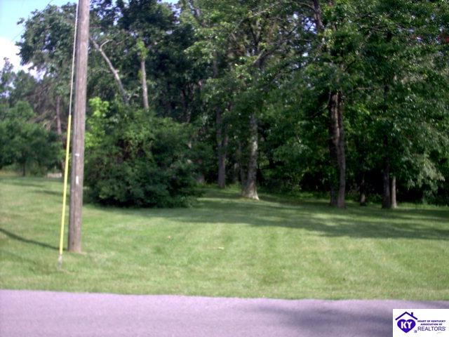 Listing Picture 248 Cedar Hill Drive Elizabethtown, KY 42701 MLS HK10001164