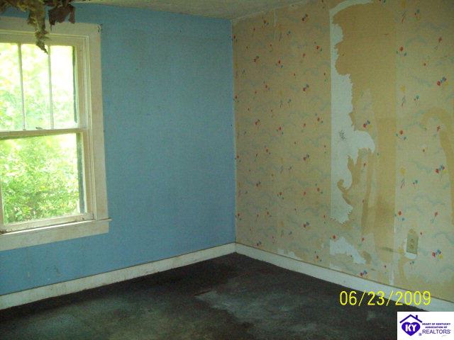 Listing Picture 1272 Hardin Springs Road Big Clifty, KY 42712 MLS HK10001272