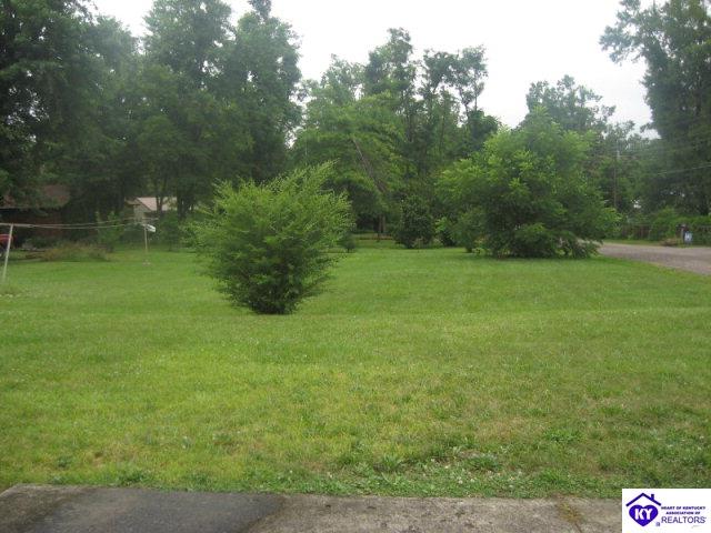 Listing Picture 1533 Roger Drive Radcliff, KY 40175 MLS HK10001331