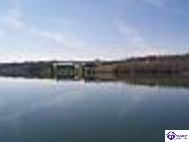 Listing Picture 487 Piping Rock Road Brandenburg, KY 40108 MLS HK10001346