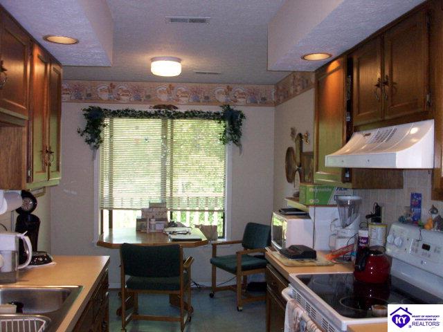 Listing Picture 487 Piping Rock Road Brandenburg, KY 40108 MLS HK10001346