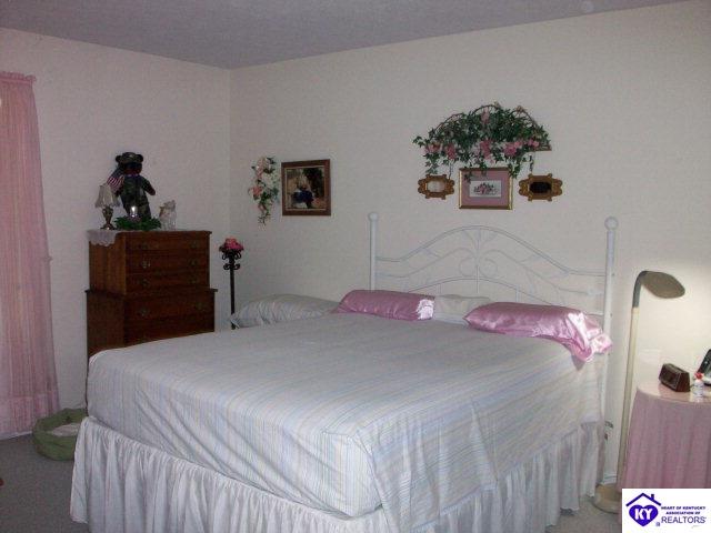 Listing Picture 487 Piping Rock Road Brandenburg, KY 40108 MLS HK10001346