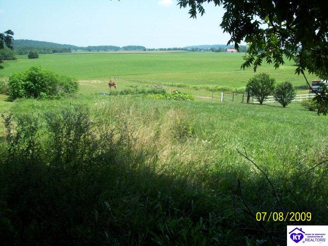 Listing Picture 12593 S Highway 333 Vine Grove, KY 40175 MLS HK10001383