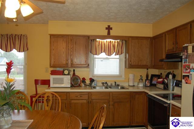 Listing Picture 147 Camelback Drive Campbellsville, KY 42718 MLS HK10001388