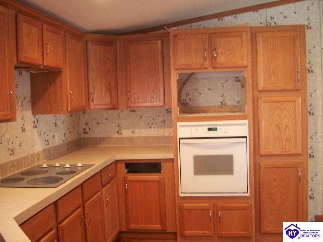 Listing Picture 108 Red Hawk Drive Vine Grove, KY 40160 MLS HK10001576