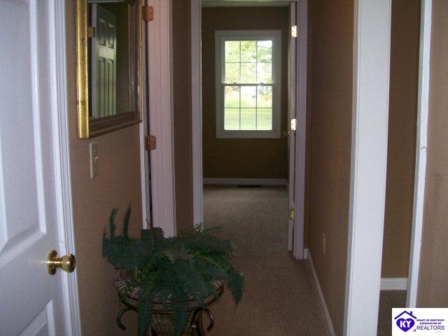 Listing Picture 0 Miller Lane Leitchfield, KY 42754 MLS HK10001905