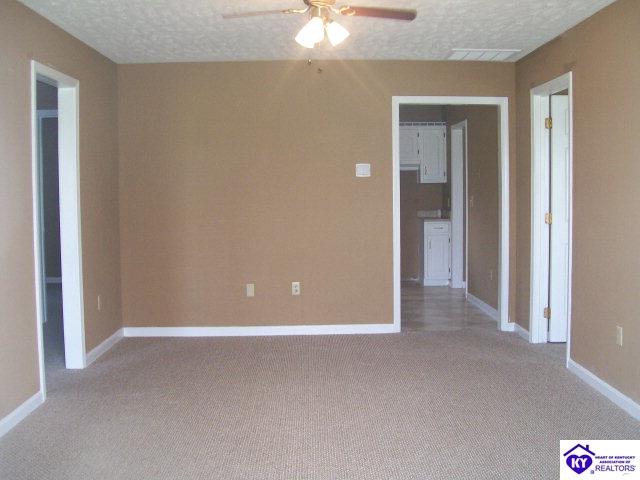 Listing Picture 0 Miller Lane Leitchfield, KY 42754 MLS HK10001905