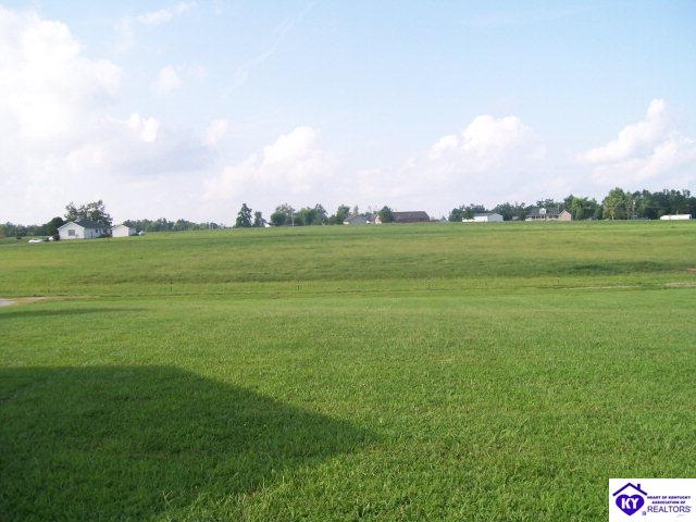 Listing Picture 0 Miller Lane Leitchfield, KY 42754 MLS HK10001905