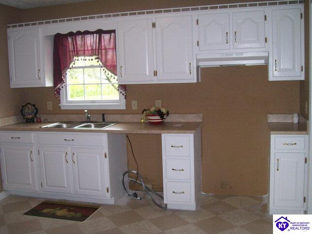 Listing Picture 0 Miller Lane Leitchfield, KY 42754 MLS HK10001905