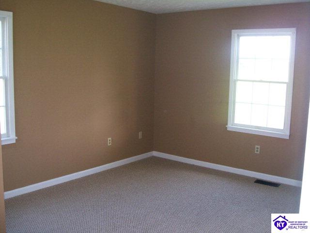 Listing Picture 0 Miller Lane Leitchfield, KY 42754 MLS HK10001905