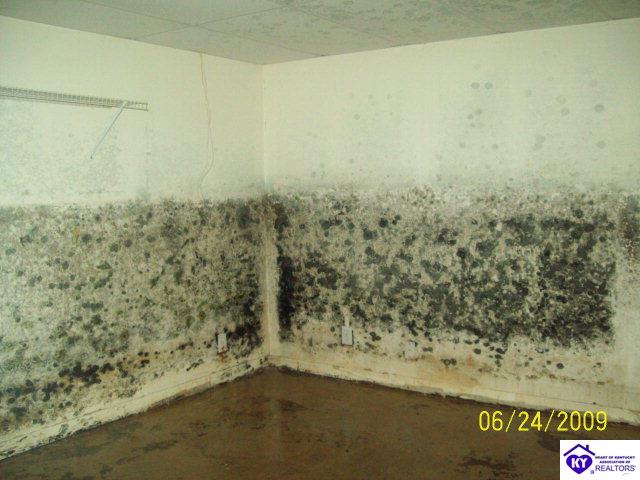 Listing Picture 2888 Republic Avenue Radcliff, KY 40160 MLS HK10001972