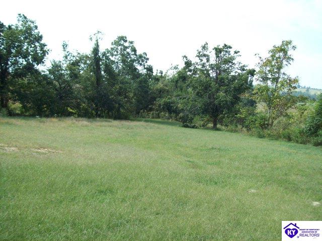 Listing Picture 2845 Blowtown Road Leitchfield, KY 42754 MLS HK10002062