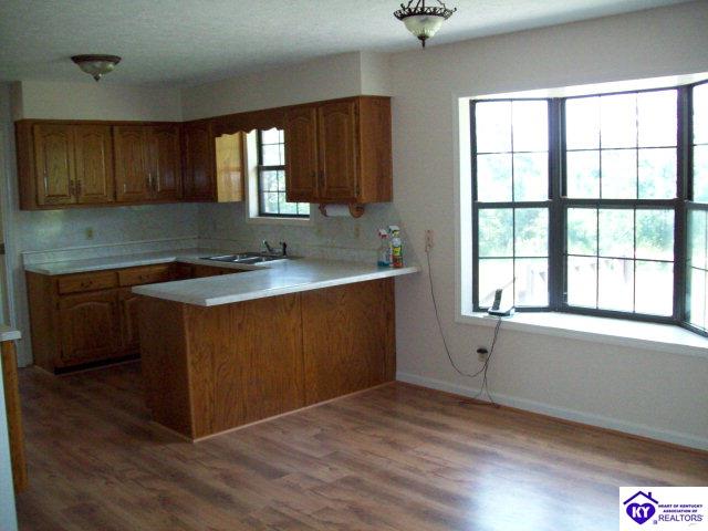 Listing Picture 2845 Blowtown Road Leitchfield, KY 42754 MLS HK10002062