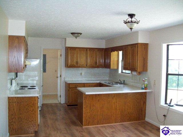 Listing Picture 2845 Blowtown Road Leitchfield, KY 42754 MLS HK10002062