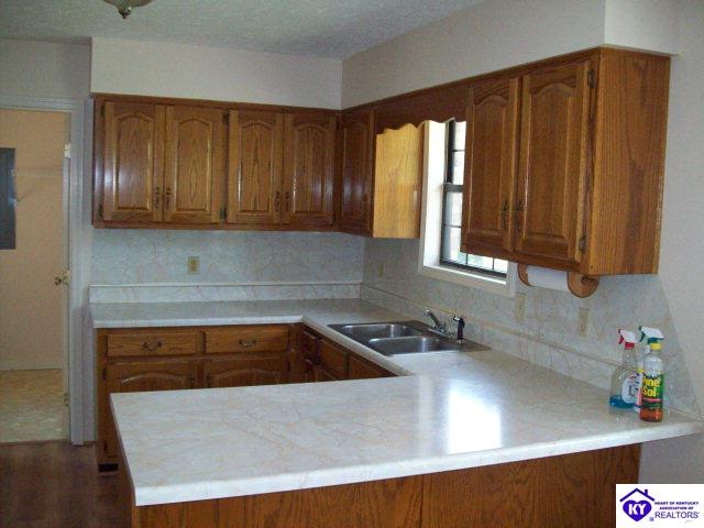 Listing Picture 2845 Blowtown Road Leitchfield, KY 42754 MLS HK10002062