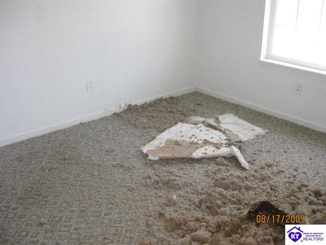 Listing Picture 105 Stovall Court Elizabethtown, KY 42701 MLS HK10002047