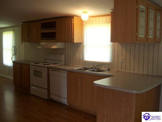 Listing Picture 410 Ghen Road Brandenburg, KY 40108 MLS HK10002096