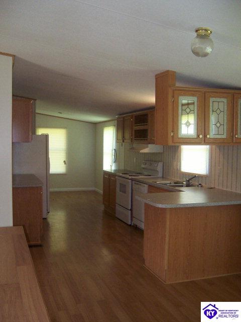 Listing Picture 410 Ghen Road Brandenburg, KY 40108 MLS HK10002096