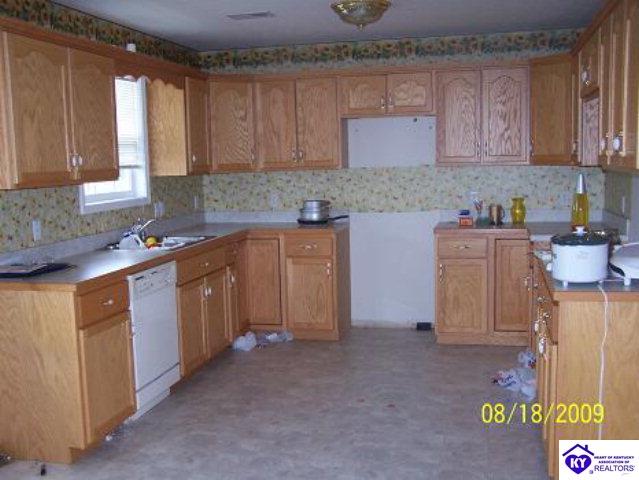 Listing Picture 1194 S L and N Turnpike Buffalo, KY 42716 MLS HK10002149