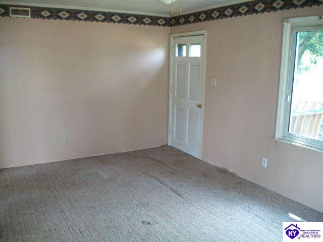 Listing Picture 2413 Bewleyville Rosetta Road Irvington, KY 40146 MLS HK10002152