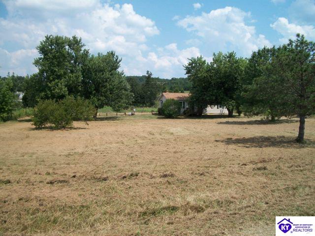 Listing Picture 2413 Bewleyville Rosetta Road Irvington, KY 40146 MLS HK10002152
