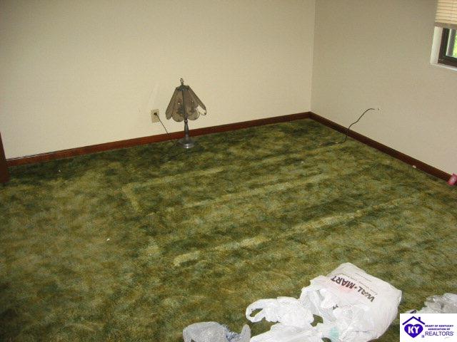 Listing Picture 237 Eagle Pass Drive Radcliff, KY 40160 MLS HK10002110