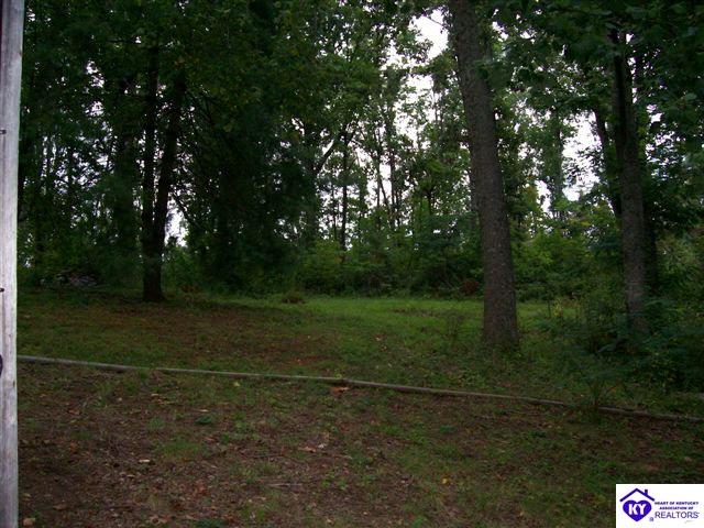 Listing Picture 102 Woods Road Elizabethtown, KY 42701 MLS HK10002179