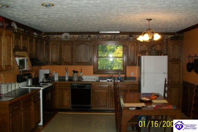 Listing Picture 79 Mt Sherman Ward Road Magnolia, KY 42757 MLS HK10002184