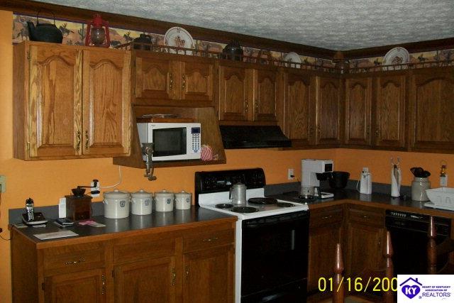 Listing Picture 79 Mt Sherman Ward Road Magnolia, KY 42757 MLS HK10002184