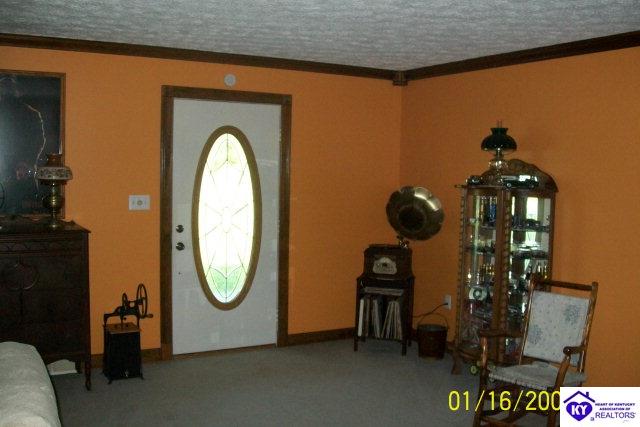 Listing Picture 79 Mt Sherman Ward Road Magnolia, KY 42757 MLS HK10002184