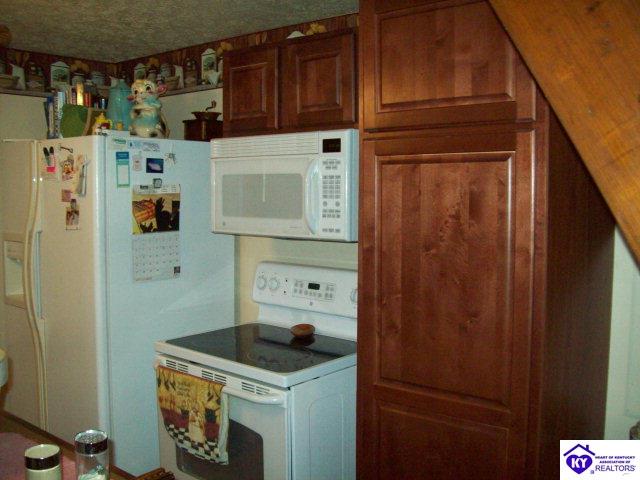 Listing Picture 5373 Grayson Springs Road Clarkson, KY 42726 MLS HK10002568