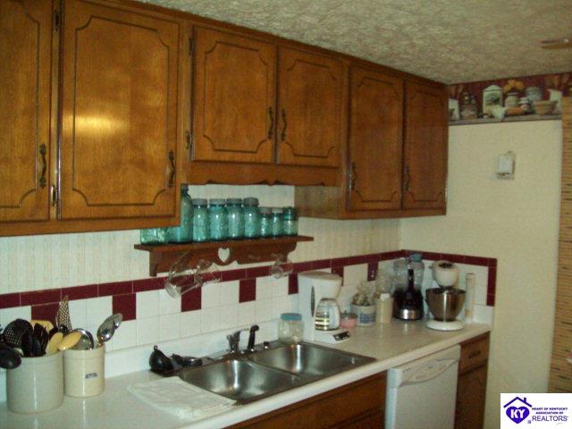 Listing Picture 5373 Grayson Springs Road Clarkson, KY 42726 MLS HK10002568
