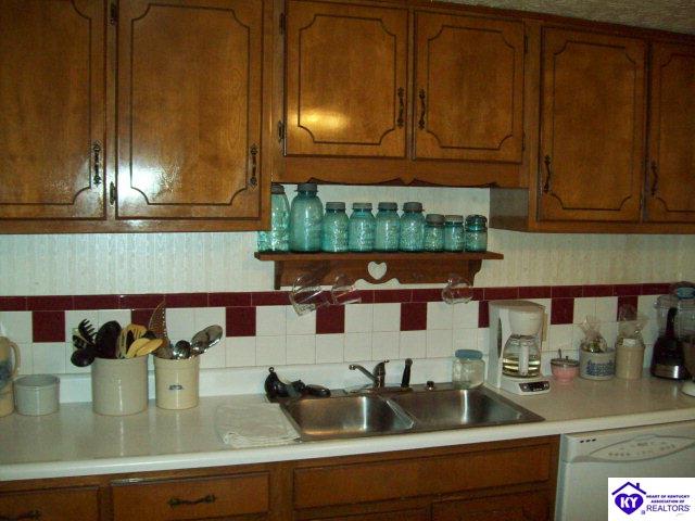 Listing Picture 5373 Grayson Springs Road Clarkson, KY 42726 MLS HK10002568